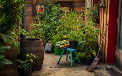 How To Grow Vegetables Year-Round in Container Gardens