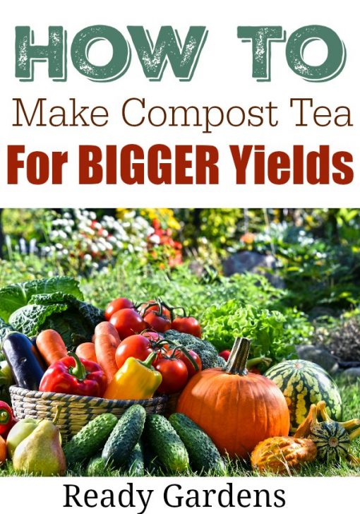 How To Make Compost Tea for Bigger Yields | Ready Gardens By Ready ...