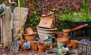 How To Prep Your Garden This Fall And Be Ready To Plant In Spring ...